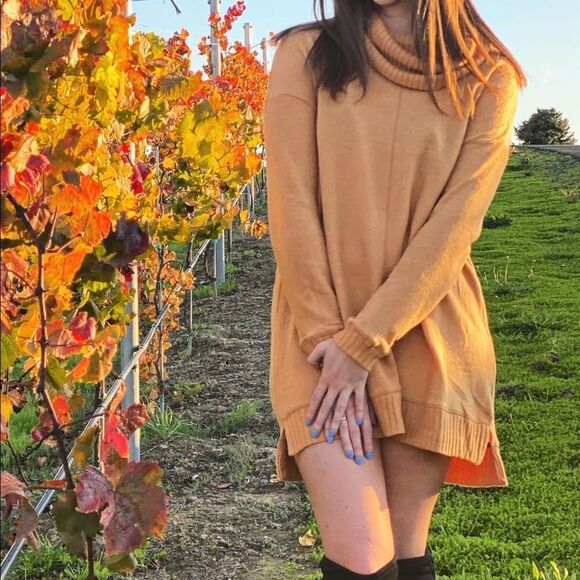 NWT Autumn Daze Camel Cowl Neck Long Sleeve Sweater Dress - Picture 6 of 6